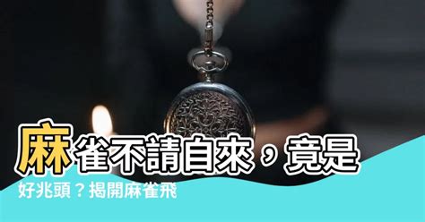 家裡飛來蟬|【蟬來家裡】蟬來家裡，吉祥還是凶兆？ 專家揭密家居風水的秘。